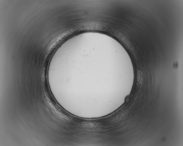 X0000116000629200912101318