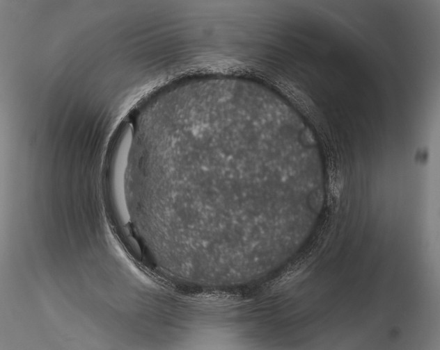 X0000116000630200912101318