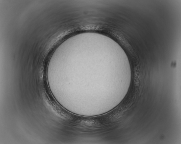 X0000116000631200912101318