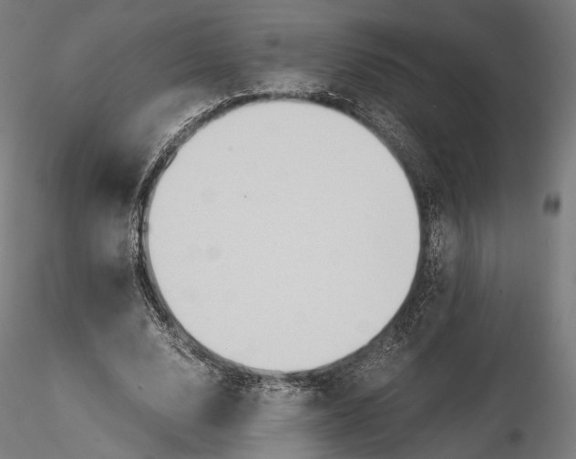 X0000116000632200912101318