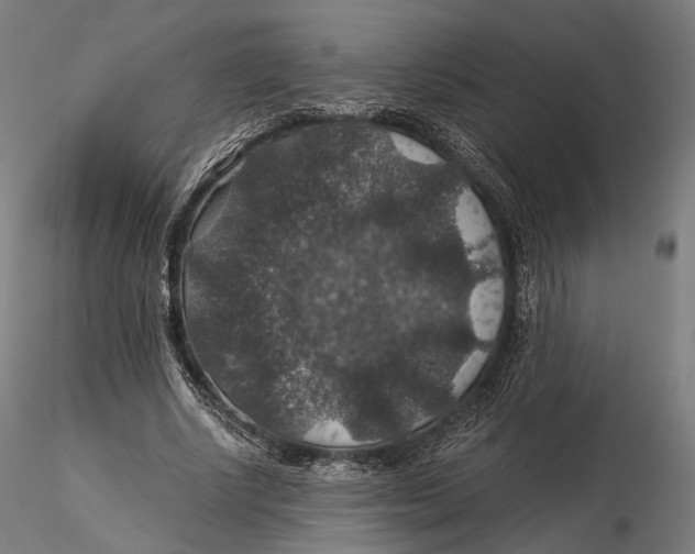 X0000116000634200912101318