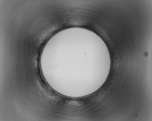 X0000116000635200912101318