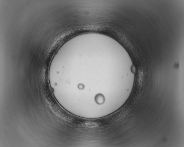 X0000116000636200912101318