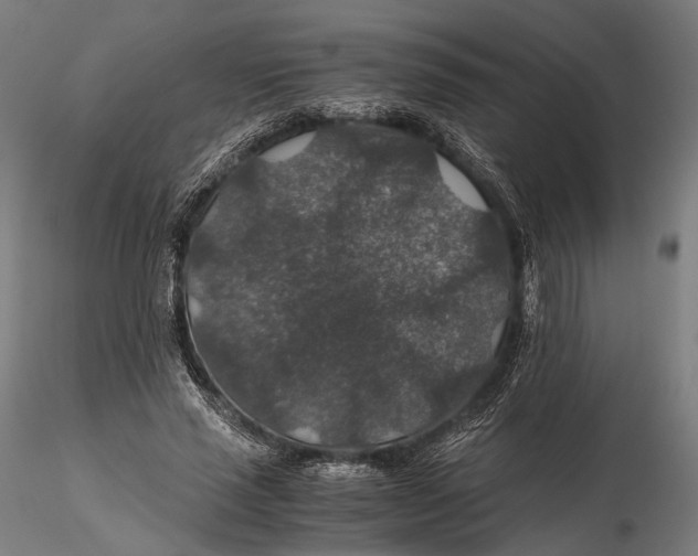 X0000116000637200912101318