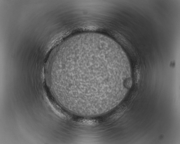 X0000116000638200912101318