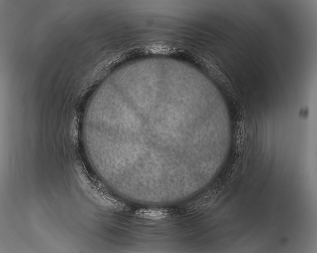 X0000116000639200912101318