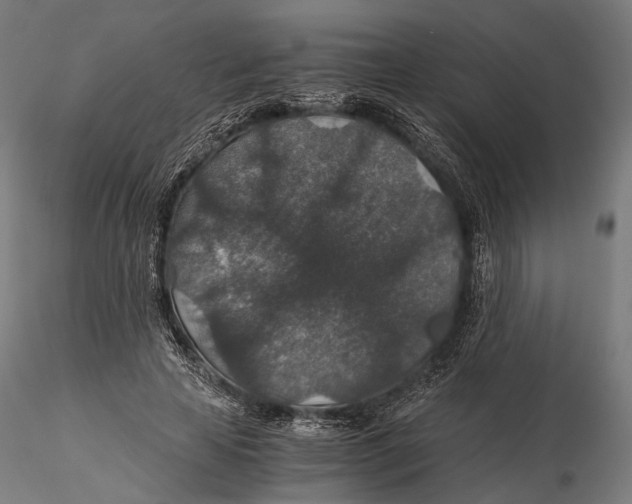 X0000116000641200912101318