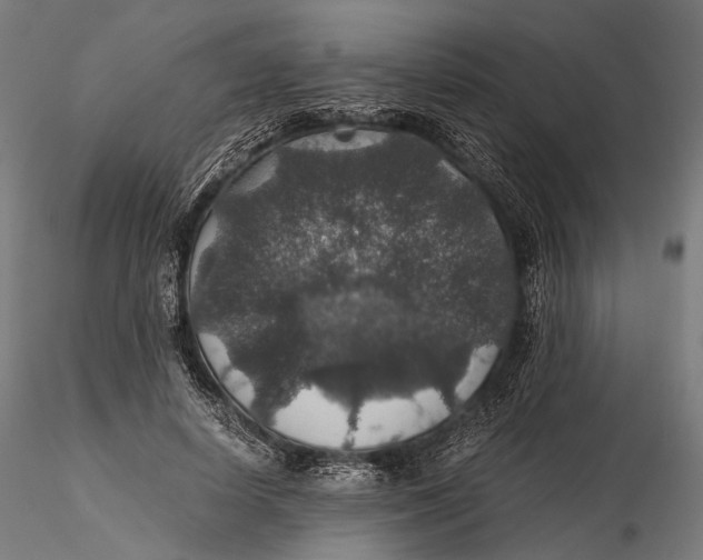 X0000116000642200912101318