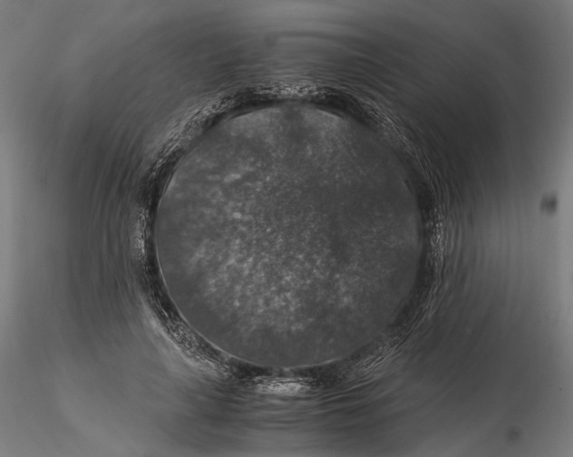 X0000116000643200912101318