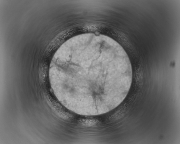 X0000116000645200912101318