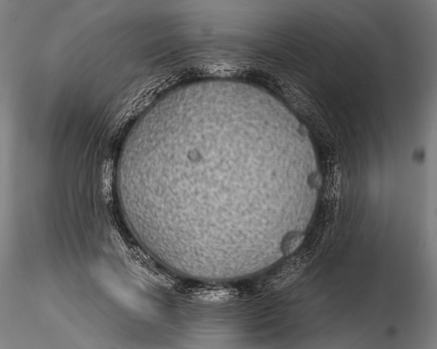 X0000116000646200912101318