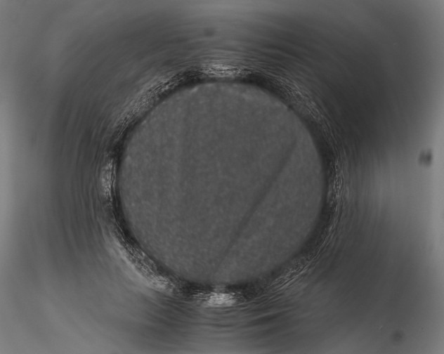 X0000116000647200912101318