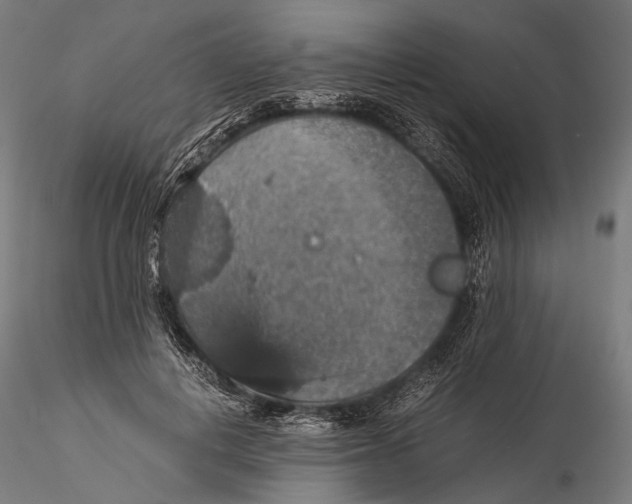 X0000116000648200912101318