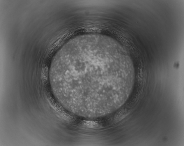 X0000116000649200912101318