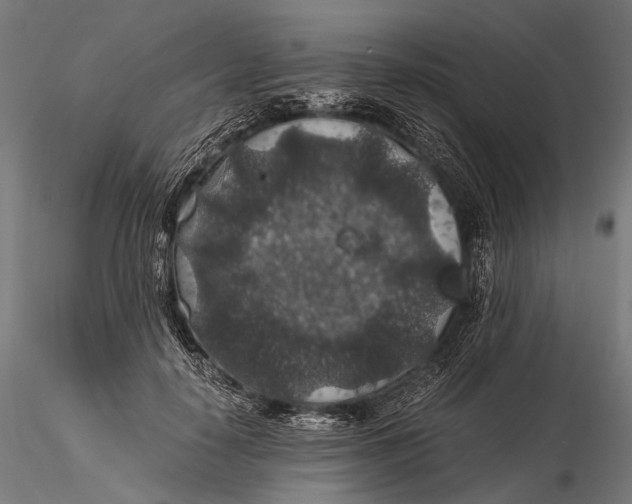 X0000116000650200912101318