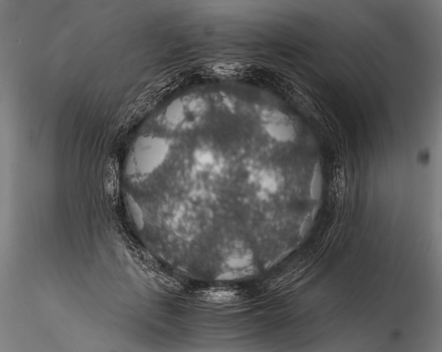 X0000116000651200912101318