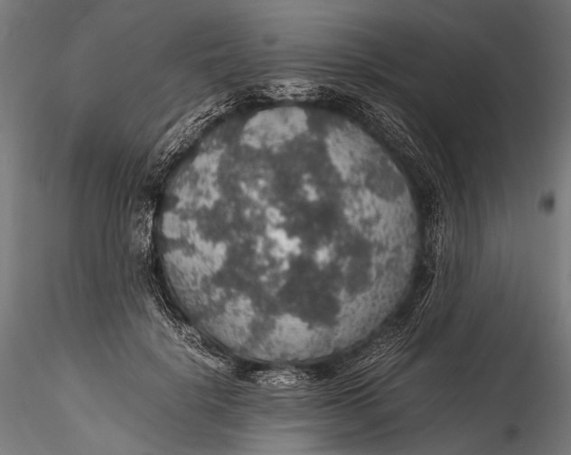 X0000116000652200912101318