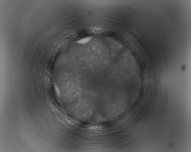 X0000116000653200912101318