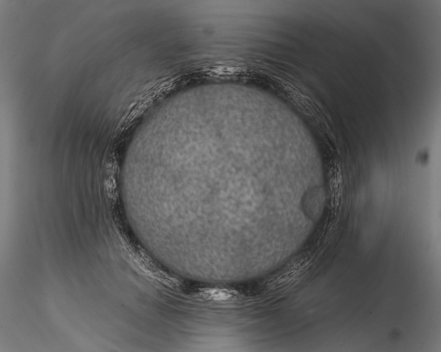 X0000116000654200912101318