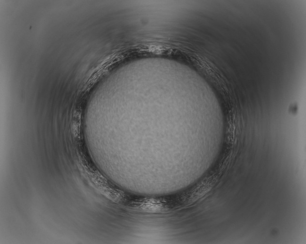 X0000116000656200912101318