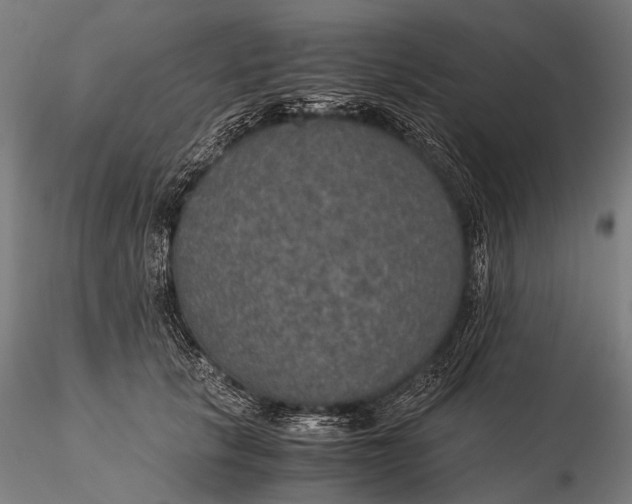 X0000116000657200912101318