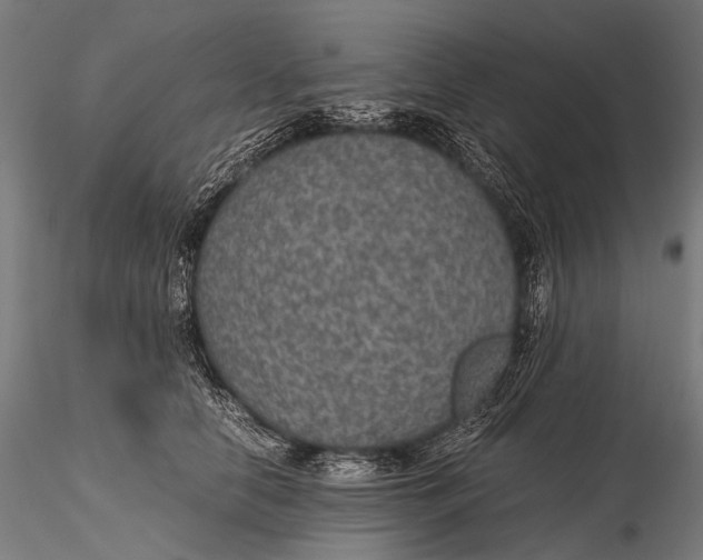 X0000116000658200912101318