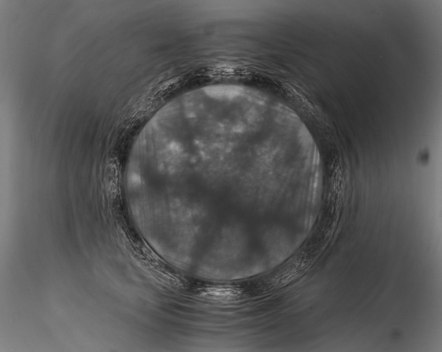 X0000116000659200912101318