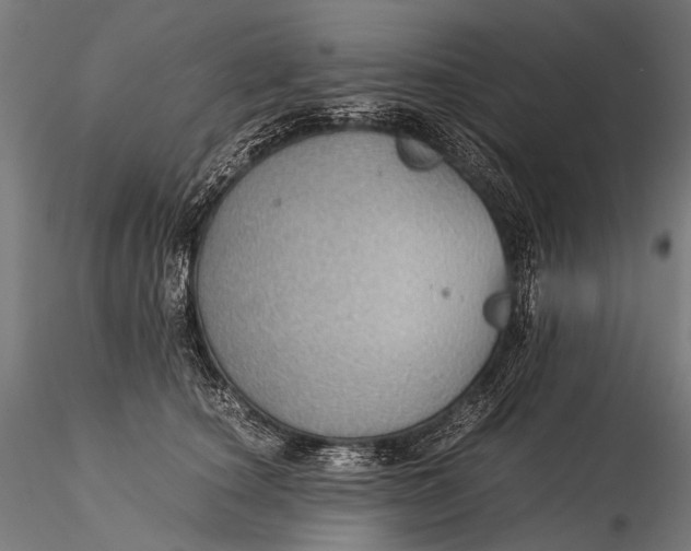 X0000116000660200912101318