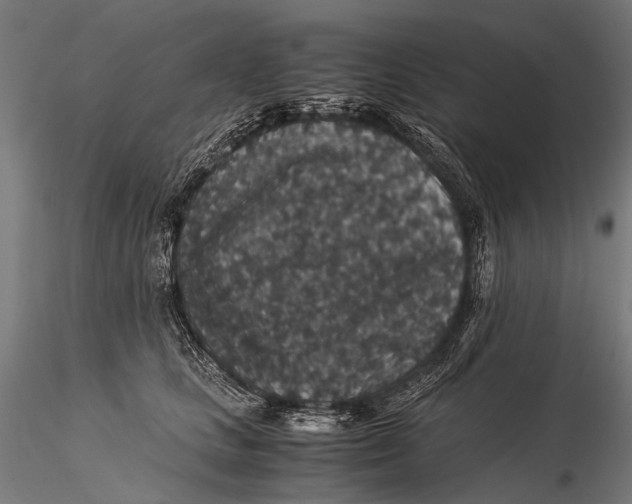 X0000116000661200912101318