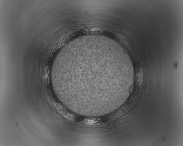 X0000116000662200912101318