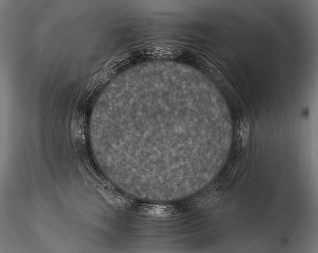 X0000116000663200912101318