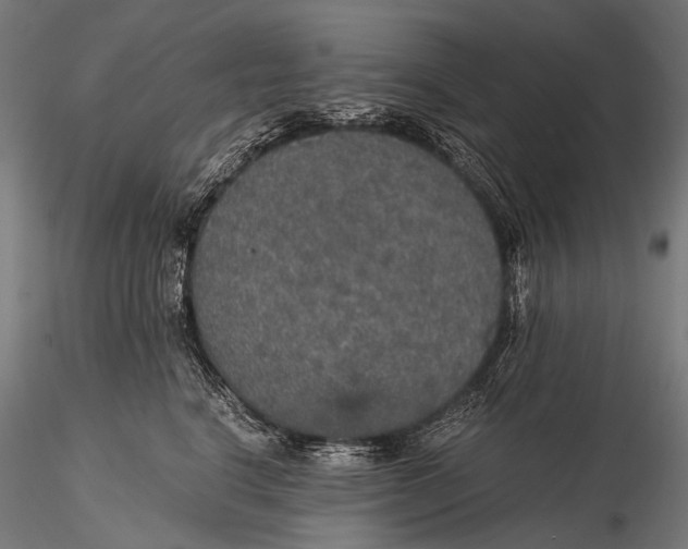 X0000116000664200912101318