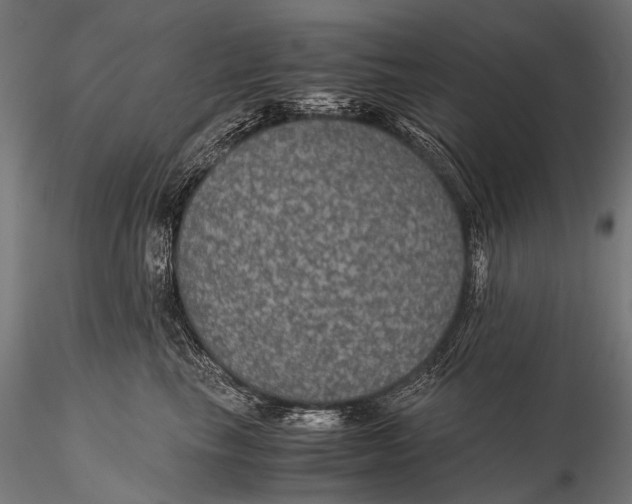 X0000116000665200912101318