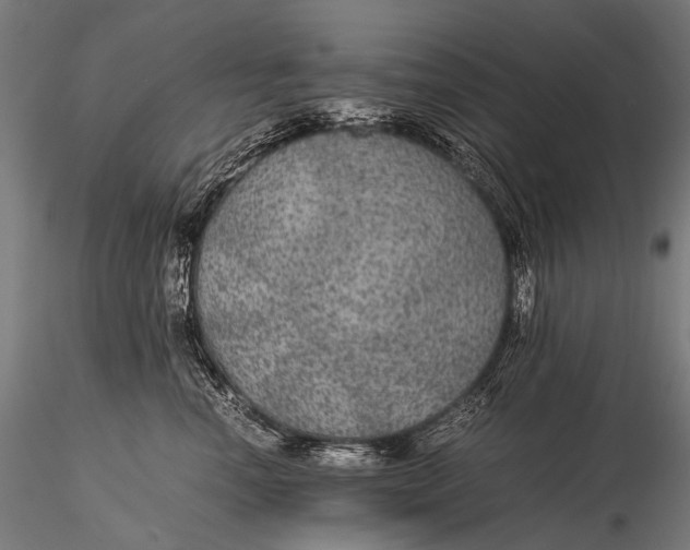 X0000116000666200912101318