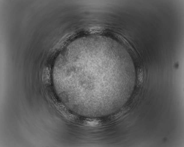 X0000116000667200912101318