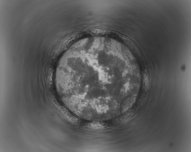 X0000116000668200912101318