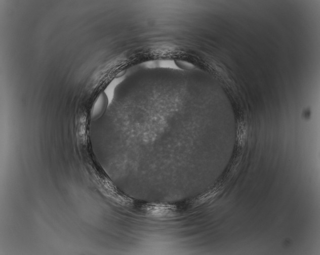 X0000116000670200912101318