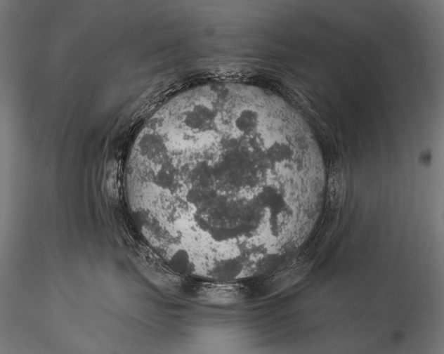 X0000116000671200912101318