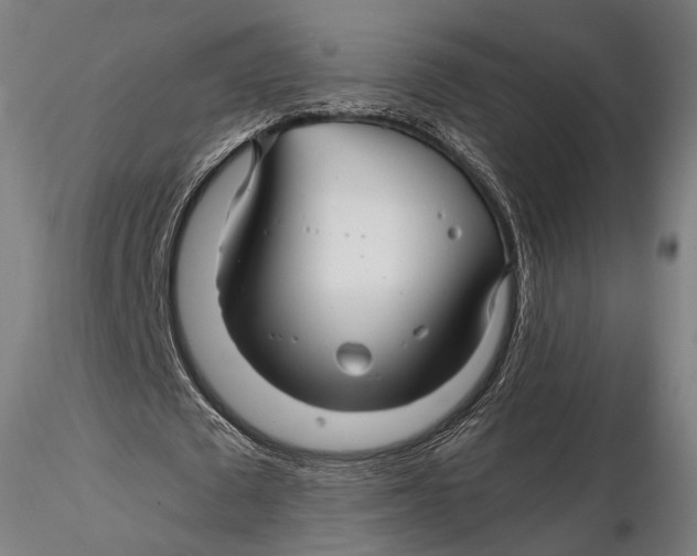 X0000116000673200912101318