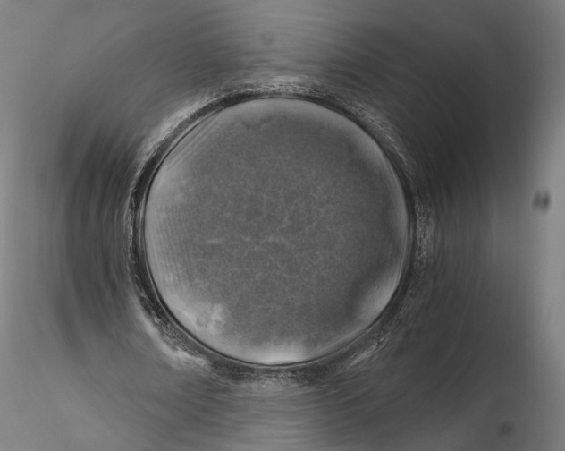 X0000116000674200912101318