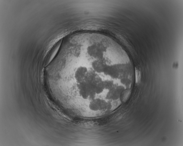 X0000116000675200912101317