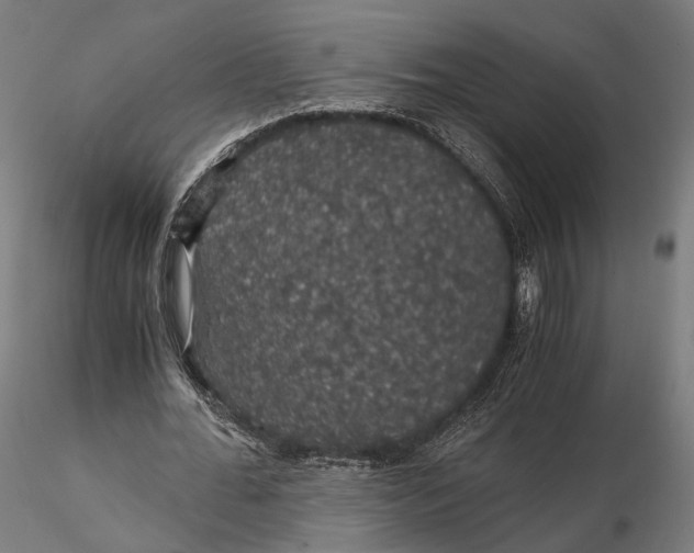 X0000116000676200912101317