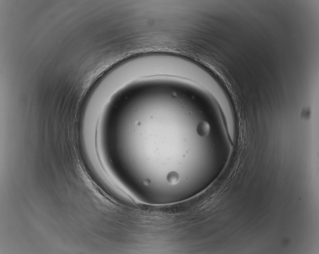 X0000116000677200912101317