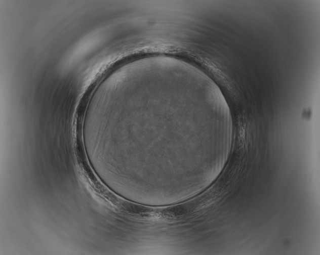 X0000116000678200912101317