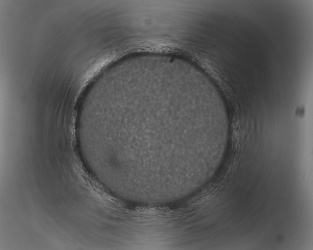 X0000116000679200912101317