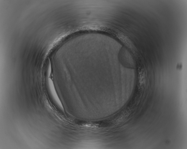 X0000116000680200912101317