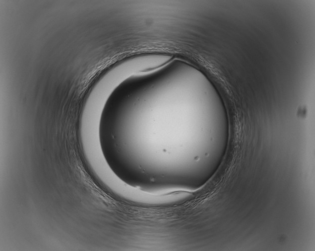 X0000116000681200912101317