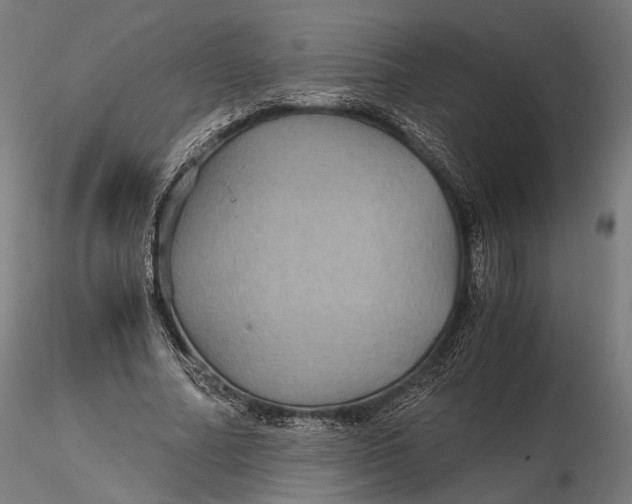 X0000116000682200912101317