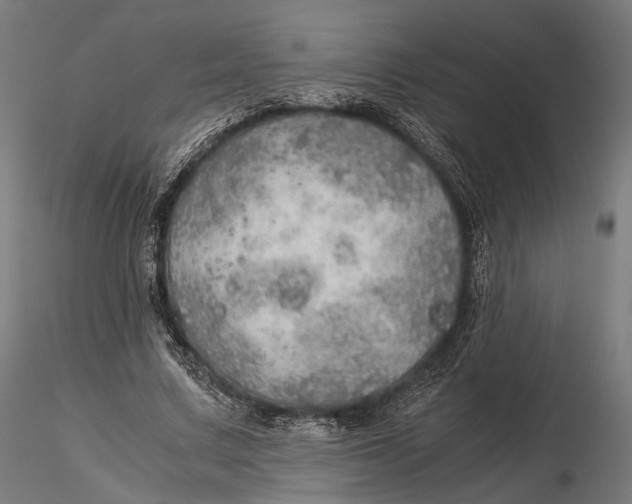 X0000116000683200912101317