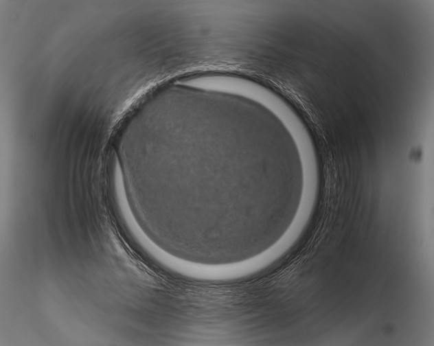 X0000116000684200912101317